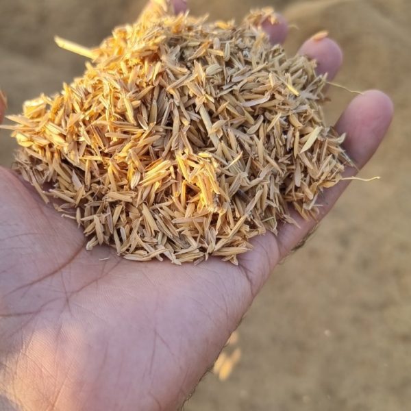 wheat straw for animal feed and biomass at babar aziz balers pakistan
