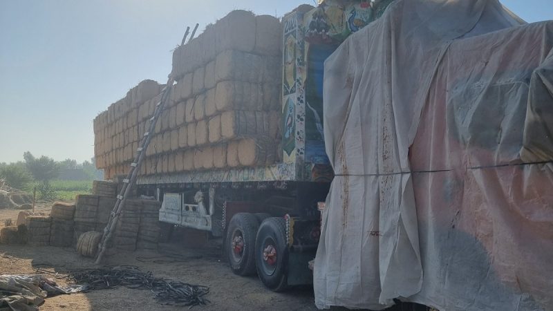 “Precision loading of wheat straw bales for transport – Babar Aziz Balers (Pakistan)”.