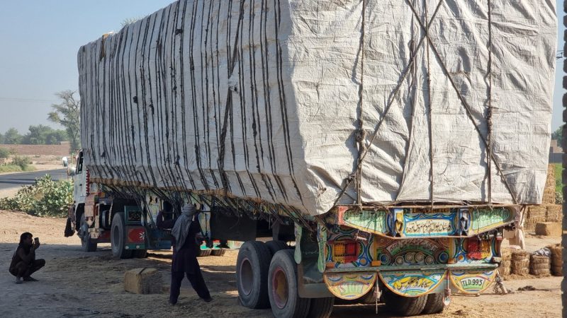 “Tarpaulin-covered wheat straw bales protecting from rain (Pakistan).”