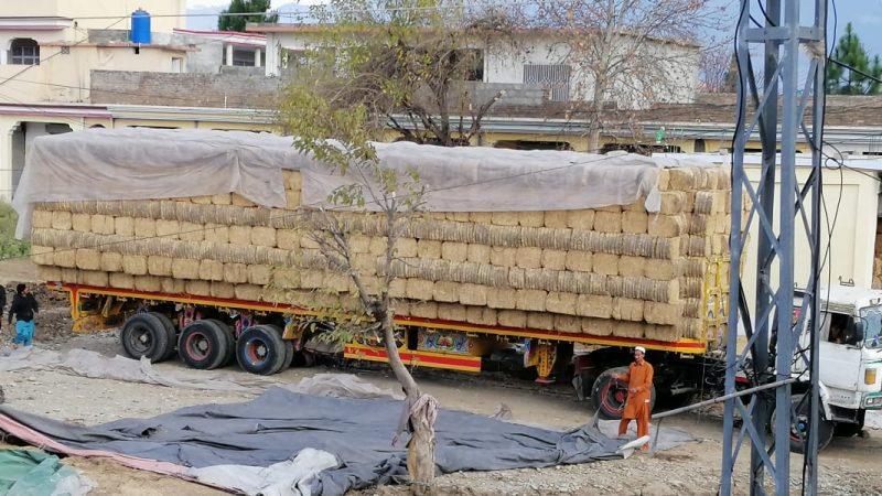 “Delivery of wheat straw baled feed at customer warehouse (Mansehra, Pakistan)”.