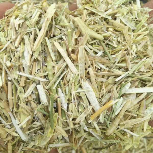 Mustard straw at Babar Aziz Balers Pakistan