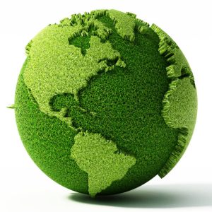 Read more about the article Biomass Energy: Cleaner Fuel for a Healthier Planet