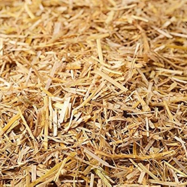 Rice straw at Babar Aziz Balers Pakistan