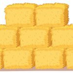 wheat straw Pakistan