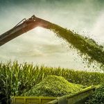 Why Bagged (Wrapped) Silage Beats Bunker Silage for Most Buyers — Practical Guide