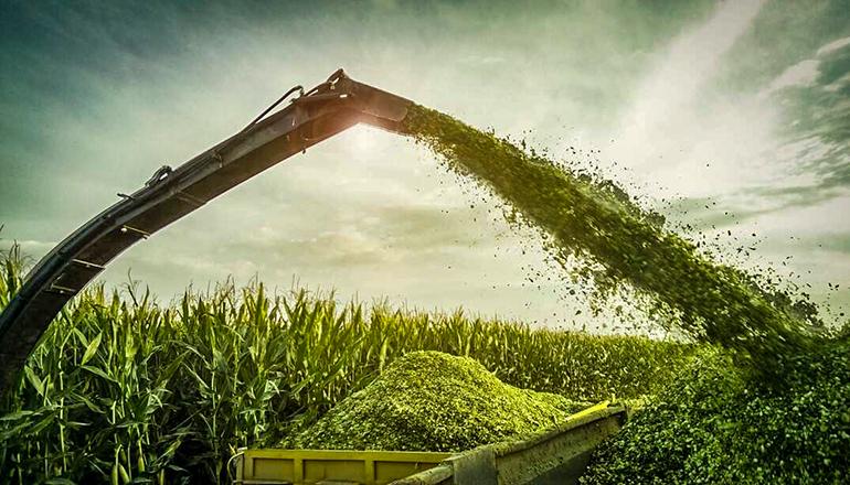 Read more about the article Why Bagged (Wrapped) Silage Beats Bunker Silage for Most Buyers — Practical Guide