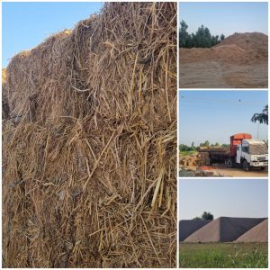 Read more about the article Update: Expanded Biomass Supply & New Silage Packing