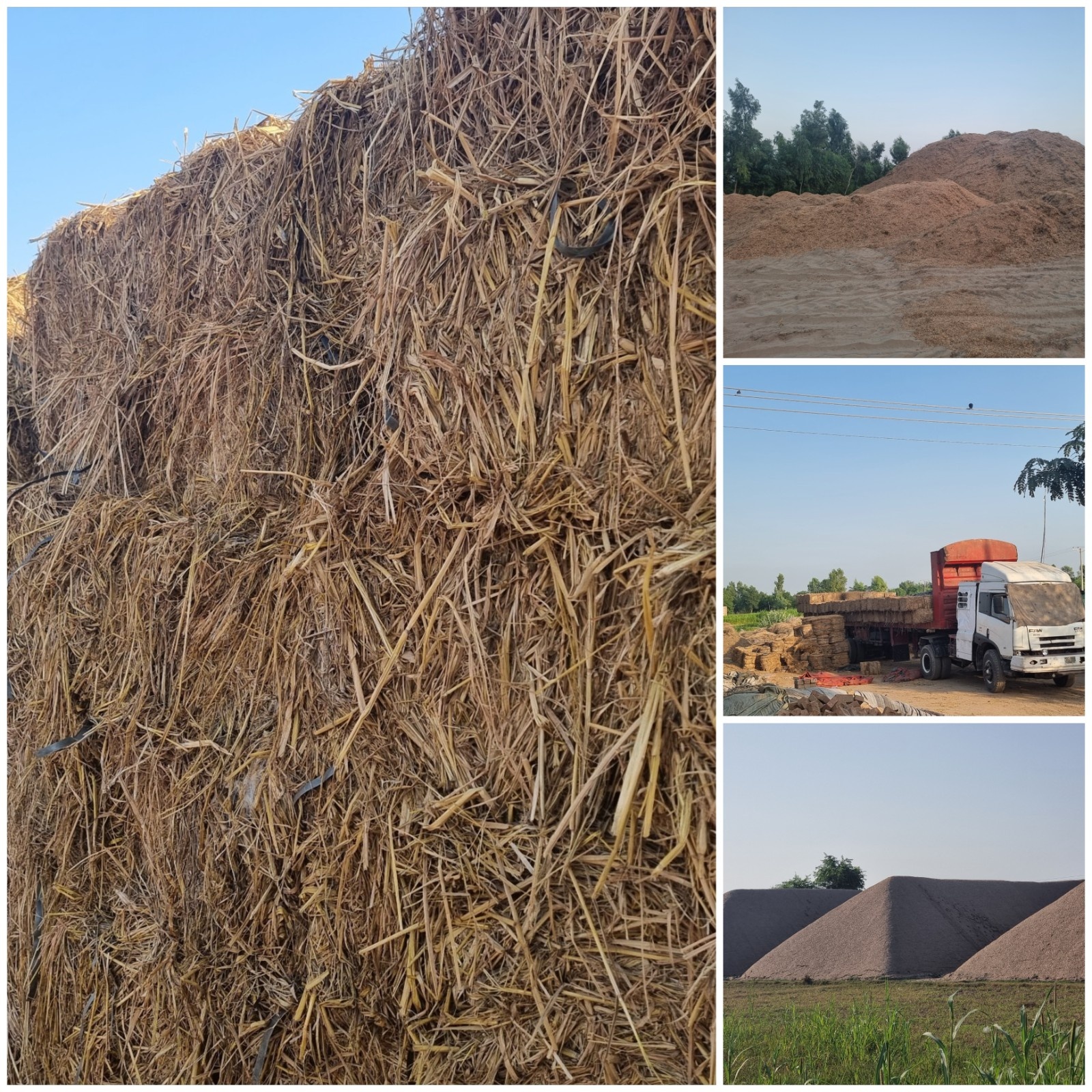 Read more about the article Update: Expanded Biomass Supply & New Silage Packing