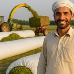 Silage FAQs — Everything Pakistani Farmers Need to Know