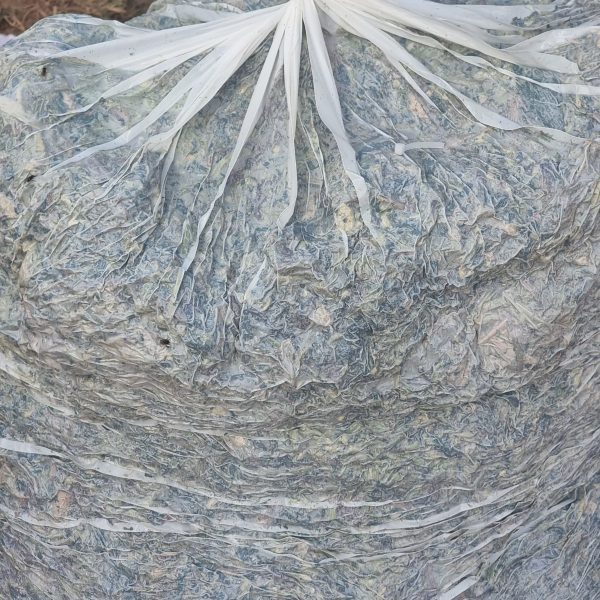 Our vaccumes not just remove oxygen from the bag but also make the bag compact for easy storage