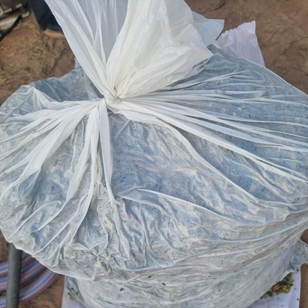 We use heavy duty vaccumes to pull out the oxygen for better fermentation