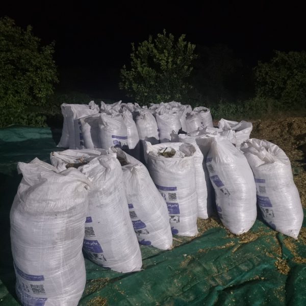 After filling bags and sealing them we wait for fermentation to complete defore dispatching them