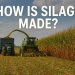 How to make Silage ?
