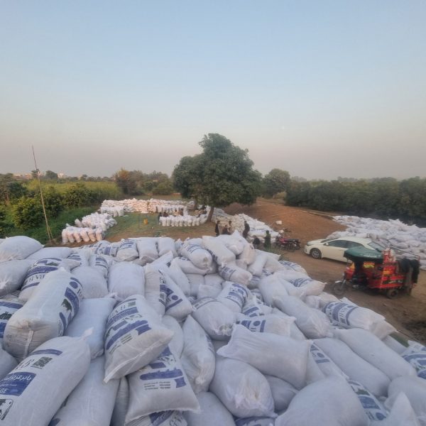 We always have bulk quantity ready